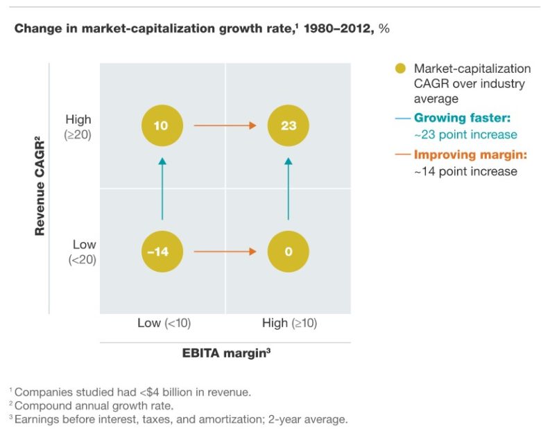 růst tržeb zisková marže a kapitalizace