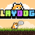 PlayDoge