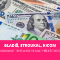 Daniel Gladiš Vltava fund