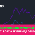 Nedostatek zemního plynu EU
